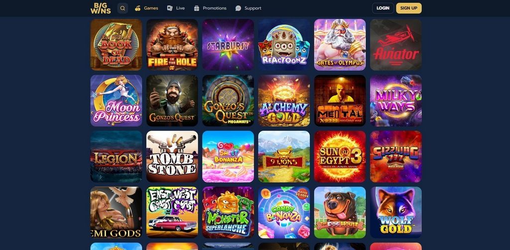 Big Wins Gambling Establishment Testimonial: Software Program