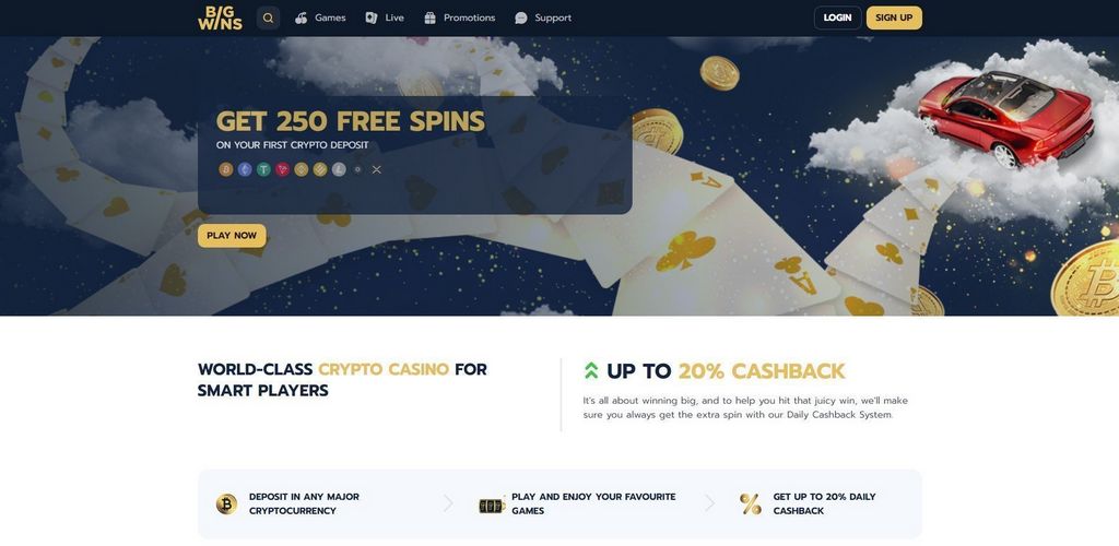 Big Wins Online Casino Evaluation: Software